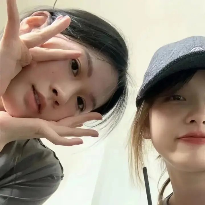 双生赤狐 在线观看